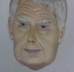 Optical Illusion Face