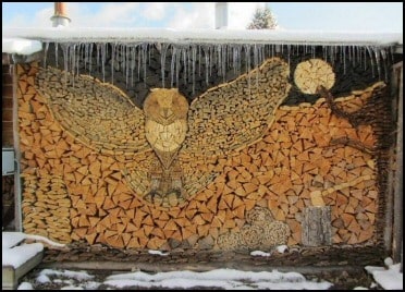 Owl in the Woodshed