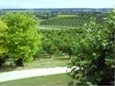 Holiday cottage in Pardaillan, France