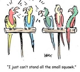 Funny Parrot Stories