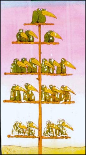 Where are you in the pecking order?