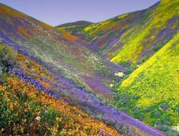 Photo of Bakerville USA