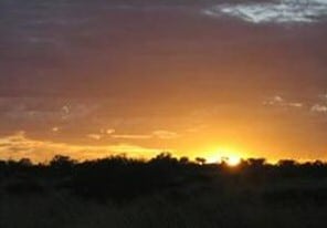 Picture of Sunset