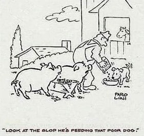 Farmer pig jokes