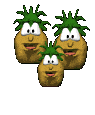 funny words - no pine in pineapple