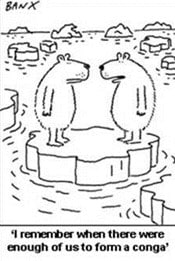 Polar bear conga