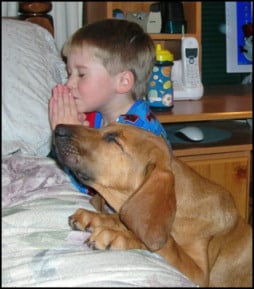 Dog praying with little boy