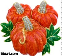 Pumpkin Fun Fashion