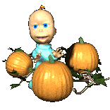 Pumpkin Patch Baby - Funny Picture