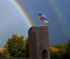 Pub at the end of the rainbow