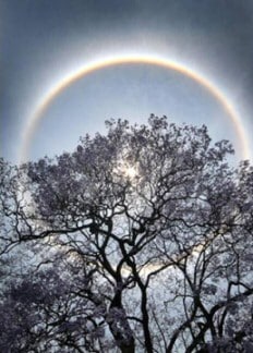 Rainbow Halo Picture