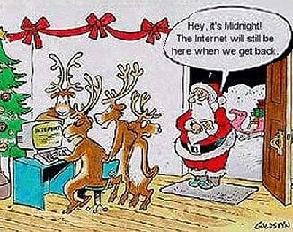 Reindeer Midnight