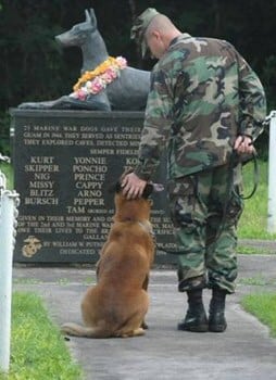 Respect