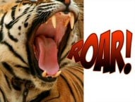 Examples of Onomatopoeia