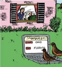 Robin Migration