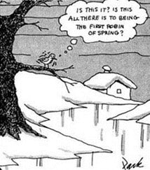 Robin Migration