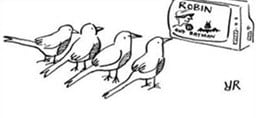 Robins Watch TV
