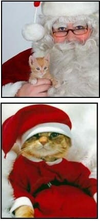 Santa Claws - Father Christmas with kitten