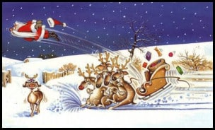 Santa Pics