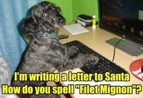 Santa Letter Dog