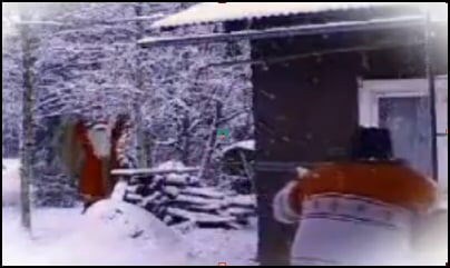 Claus Shot in the Trees