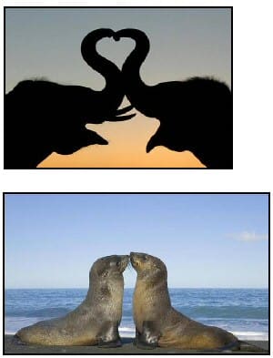 Elephant Valentine