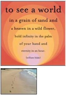 Wise Story