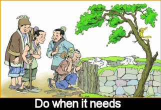 Chinese Sheep Idiom Story
