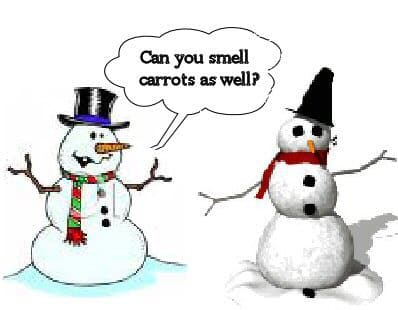 Can you smell carrots as well?