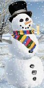 Funny Snowman Jokes