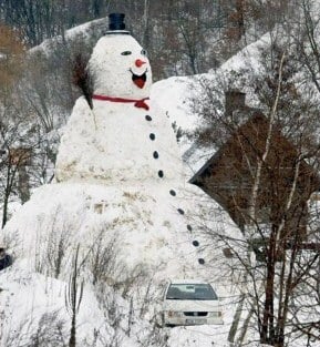 Picture of Real Snowmen