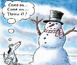 Snow Dogs