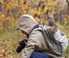 Funny Squirrel Behind You