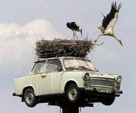 Stork nest on a car