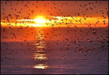 Sunset in Aberystwyth