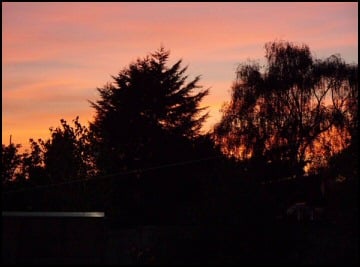 Portchester Sunset