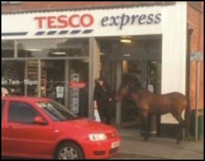 Tesco Horse Jokes
