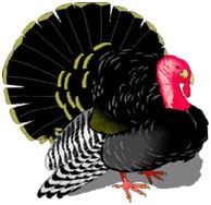 How were turkeys so named?