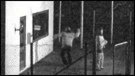 stupid boy video clip