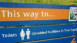 Disabled Toilet - Problem Tree tops