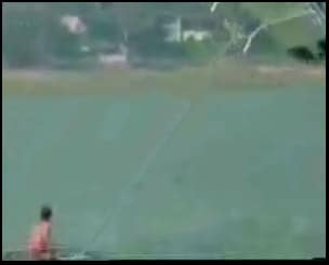stupid video clip