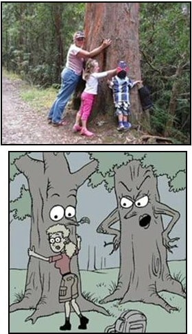 Hugging Christmas Tree Story