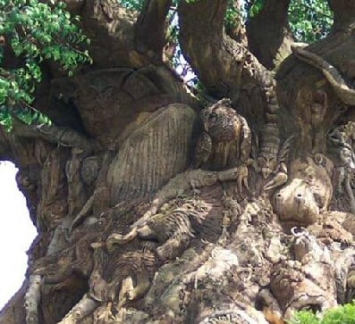 Tree Stories