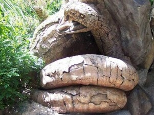 Tree of Life