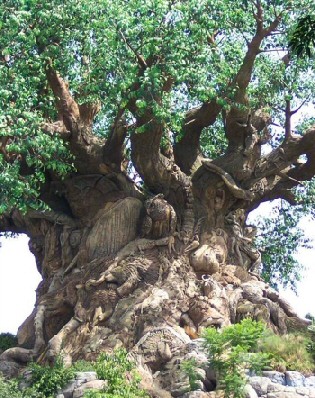 Tree of Life