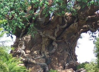 Tree of Life