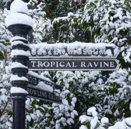 Tropical Snow Scene