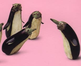 Vegetable Art - Aubergine