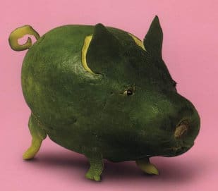 Vegetable Art