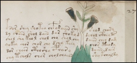 Voynich Manuscript